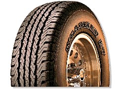 goodyear_tire.jpg (18930 bytes)